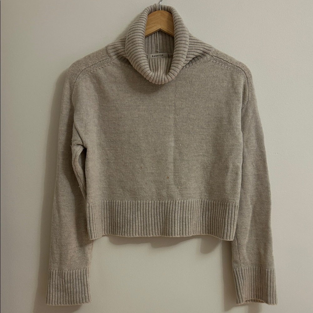 Babaton Turtleneck Sweater